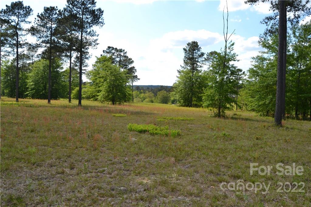 Cedar Meadows - Land