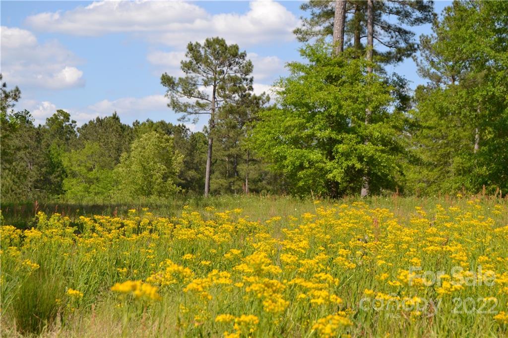 Cedar Meadows - Land