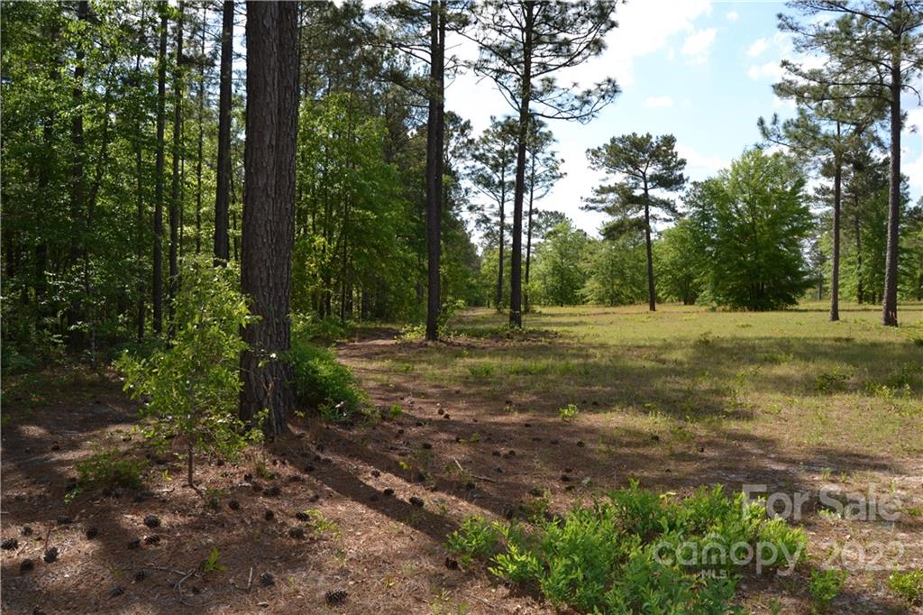 Cedar Meadows - Land