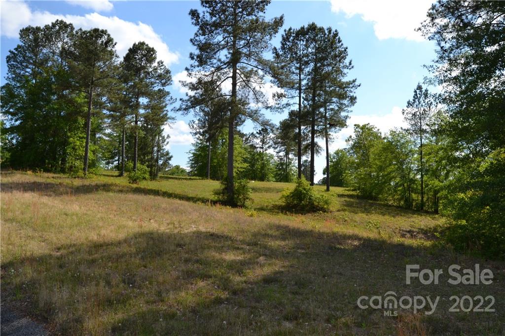 Cedar Meadows - Land