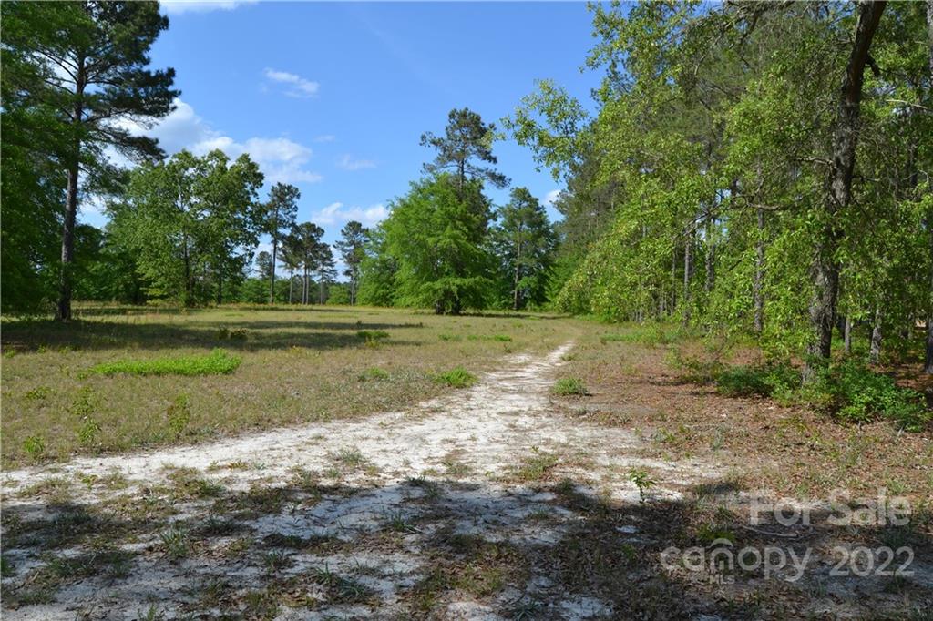 Cedar Meadows - Land