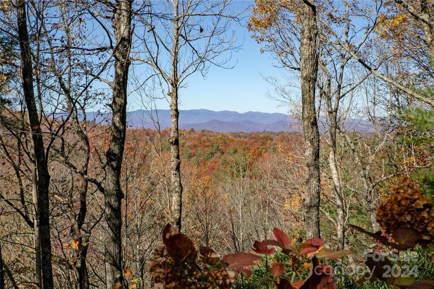 Welcome to 195 Spring Water...situated on a private, triple lot with long range, western facing mountain vistas that offer breathtaking views that change with the seasons. With vaulted wood ceilings & wood floors throughout, the home exudes a warm & inviting ambiance. Enjoy cozy evenings by the soaring, stone fireplace that anchors the great room. Large windows & sliding doors bring natural light & the outdoors in, while the spacious wrap-around deck offers outdoor living options. The large kitchen delivers solid surface tops, huge prep island with breakfast bar, pull out shelving & new stainless appliances. Enjoy meals on the deck or in the light filled dining area. With the primary suite upstairs & guest room down, everyone enjoys space & privacy. A detached, partially-finished space has potential as a studio, carriage house, bike shed or main level garage. The driveway continues around the home for easy entry into the main level. Added bonus, one of the extra lots is buildable!"