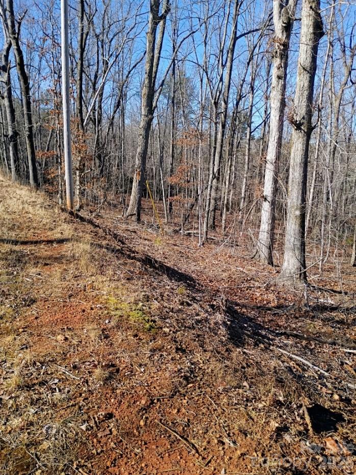 00 County Line Road S