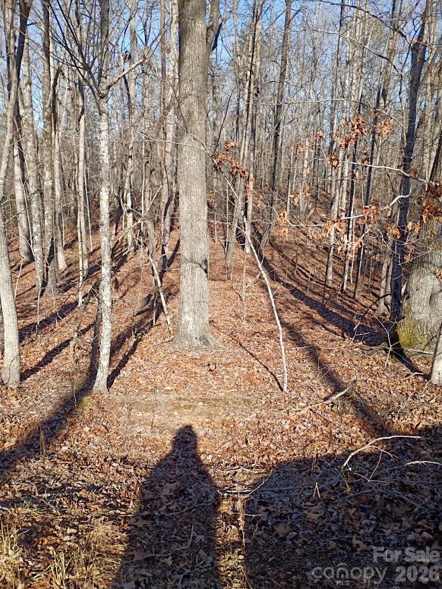 00 County Line Road S