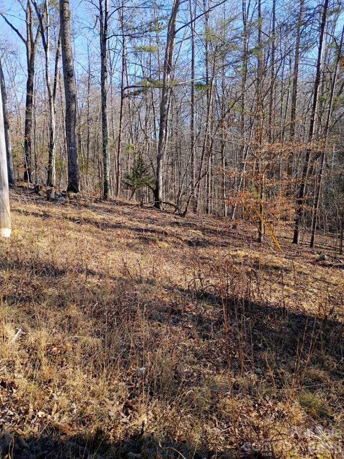 00 County Line Road S