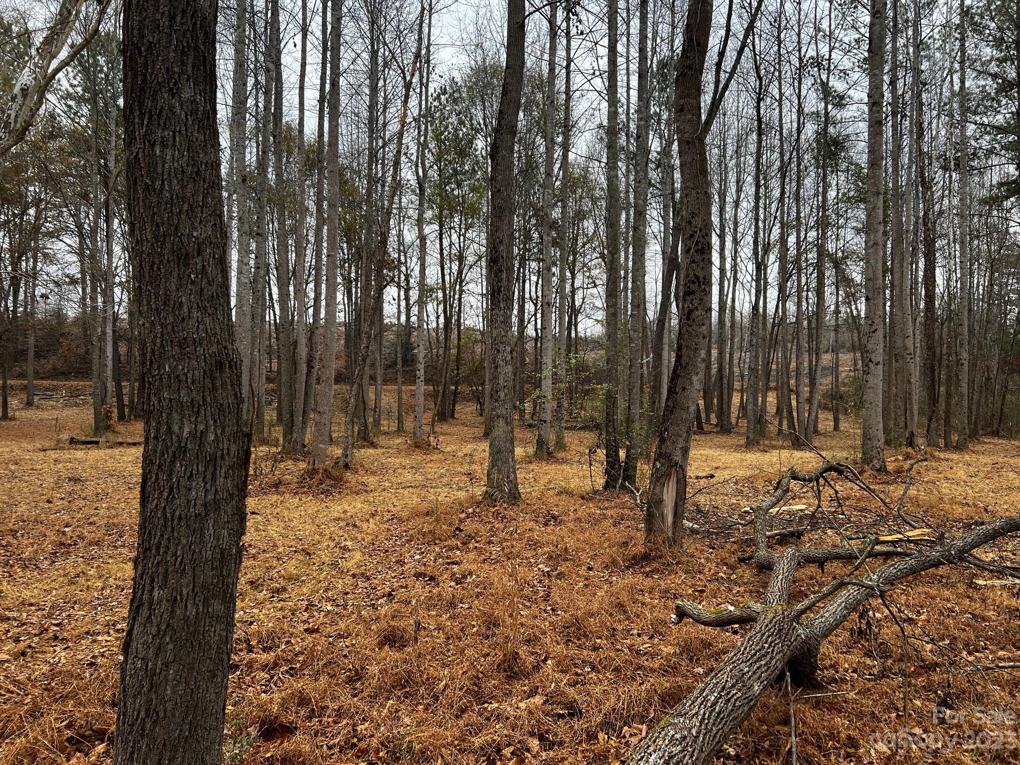 River Rock Shores - Land