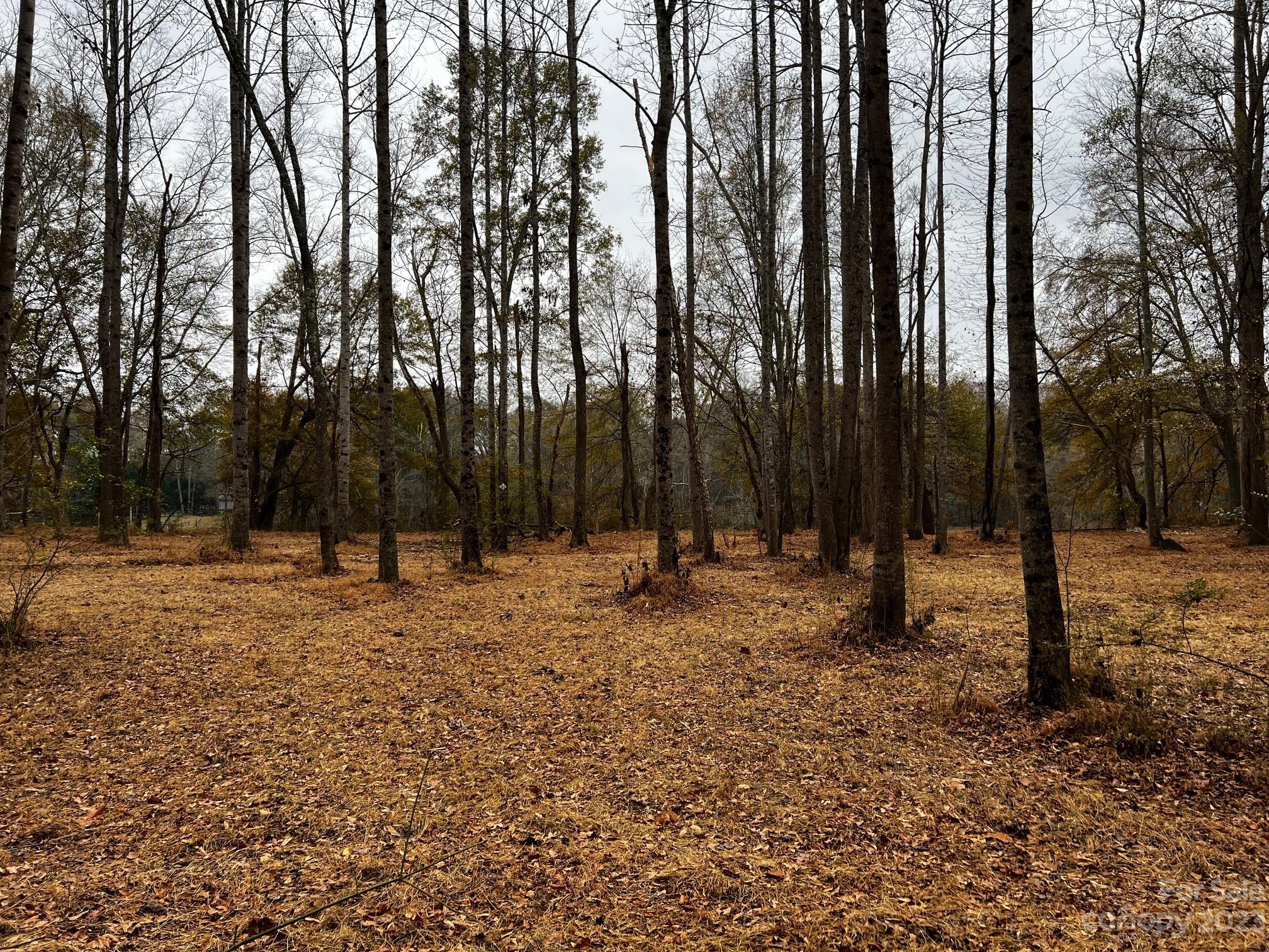 River Rock Shores - Land