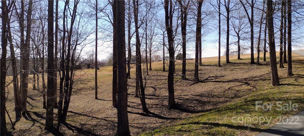 Silver Creek Plantation - Land