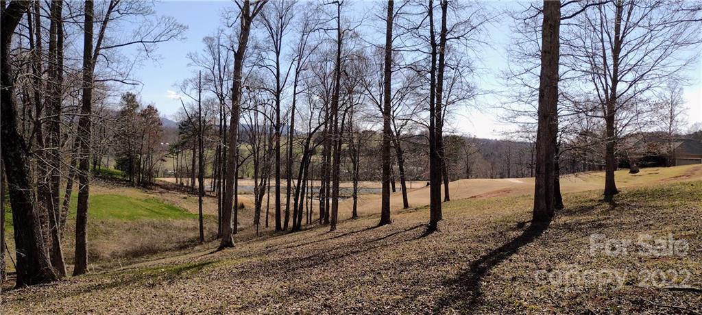 Silver Creek Plantation - Land