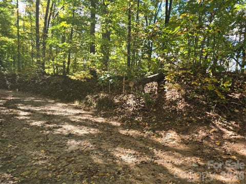 Photo of 98 Hosta Drive, Sylva, NC 28779 (MLS # 4435675)