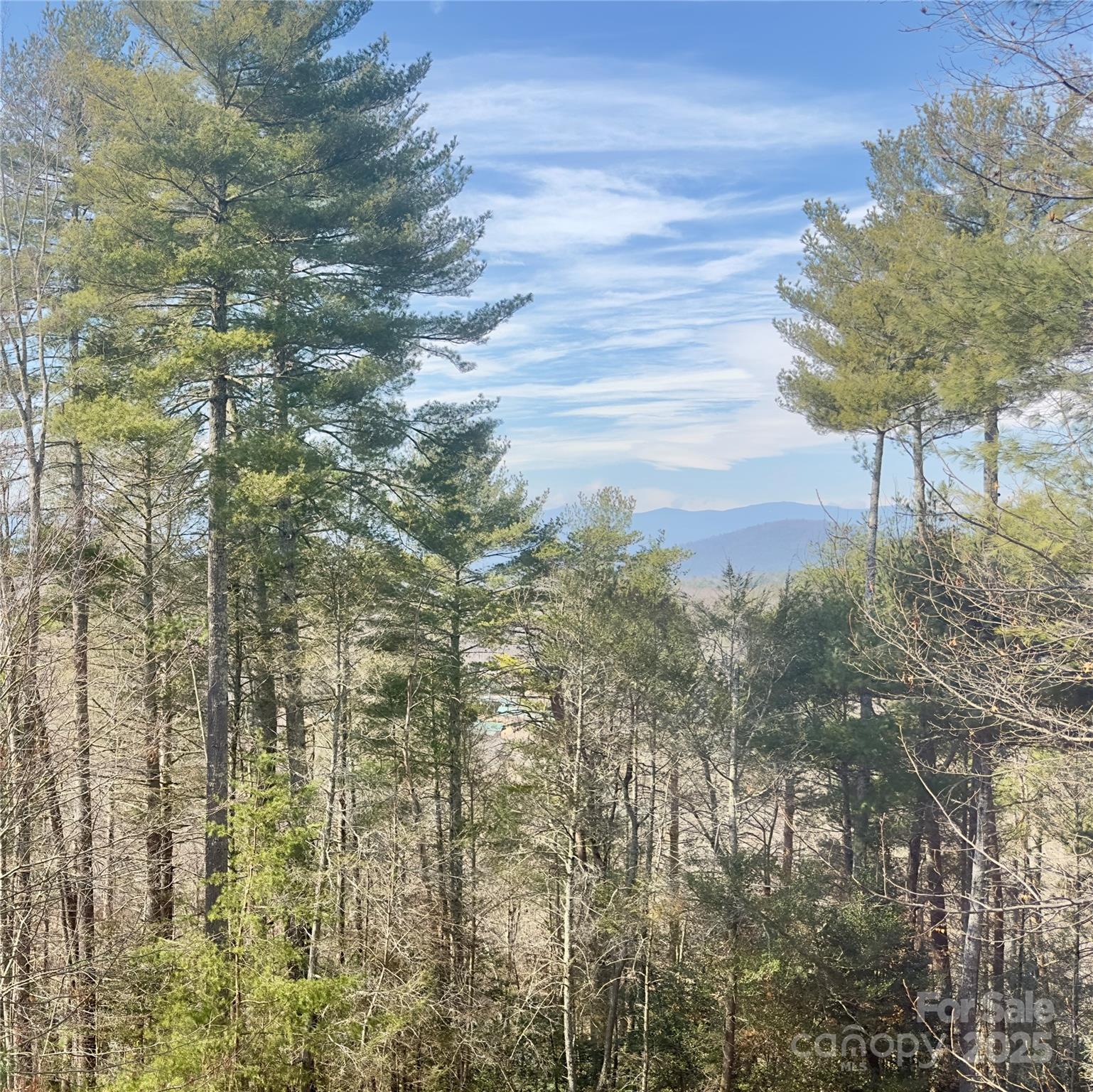 Black Forest - Residential