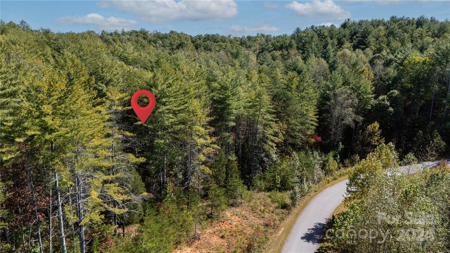 This private retreat with long range views of the Blue Ridge mountains including Grandfather Mountain, Blowing Rock Mountain and Table Rock is now available. Offering over 2 residential acres in the Old Oaks subdivision, this property features a gentle rolling lot with mature pine trees and an old road bed for traversing, or the start of a great flat homesite. All that's missing is you! The Old Oaks subdivision is a private, gated community with POA. Dues are only $400/year. Situated 10 miles from downtown Morganton, 10 miles from Lake James and only minutes to many amenities and recreational opportunities including Pisgah National Forest and Tuttle State Forest.