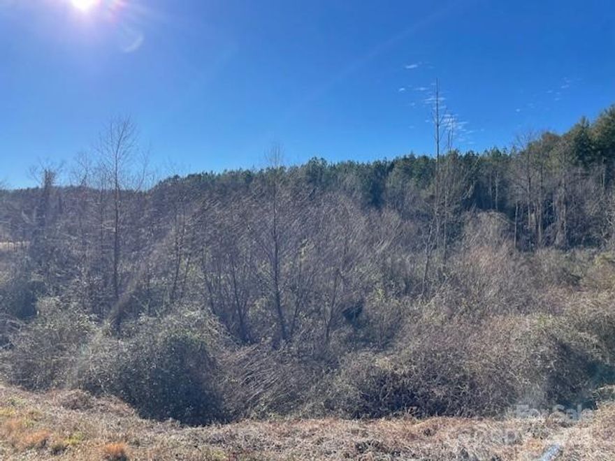 Beautiful serene 73 acres of land almost equally divided by Hidden Valley Road. The majority of the acreage is wooded and there are several branches on the property. Survey from December 2024 is in the attachments.
The recent survey shows a right of way on the left side of Hidden Valley Road. That right of way is in process of
being moved closer to Hidden Valley Road.
