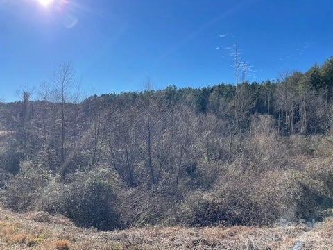 Photo of 1140 Hidden Valley Road, Taylorsville, NC 28681 (MLS # 4211251)