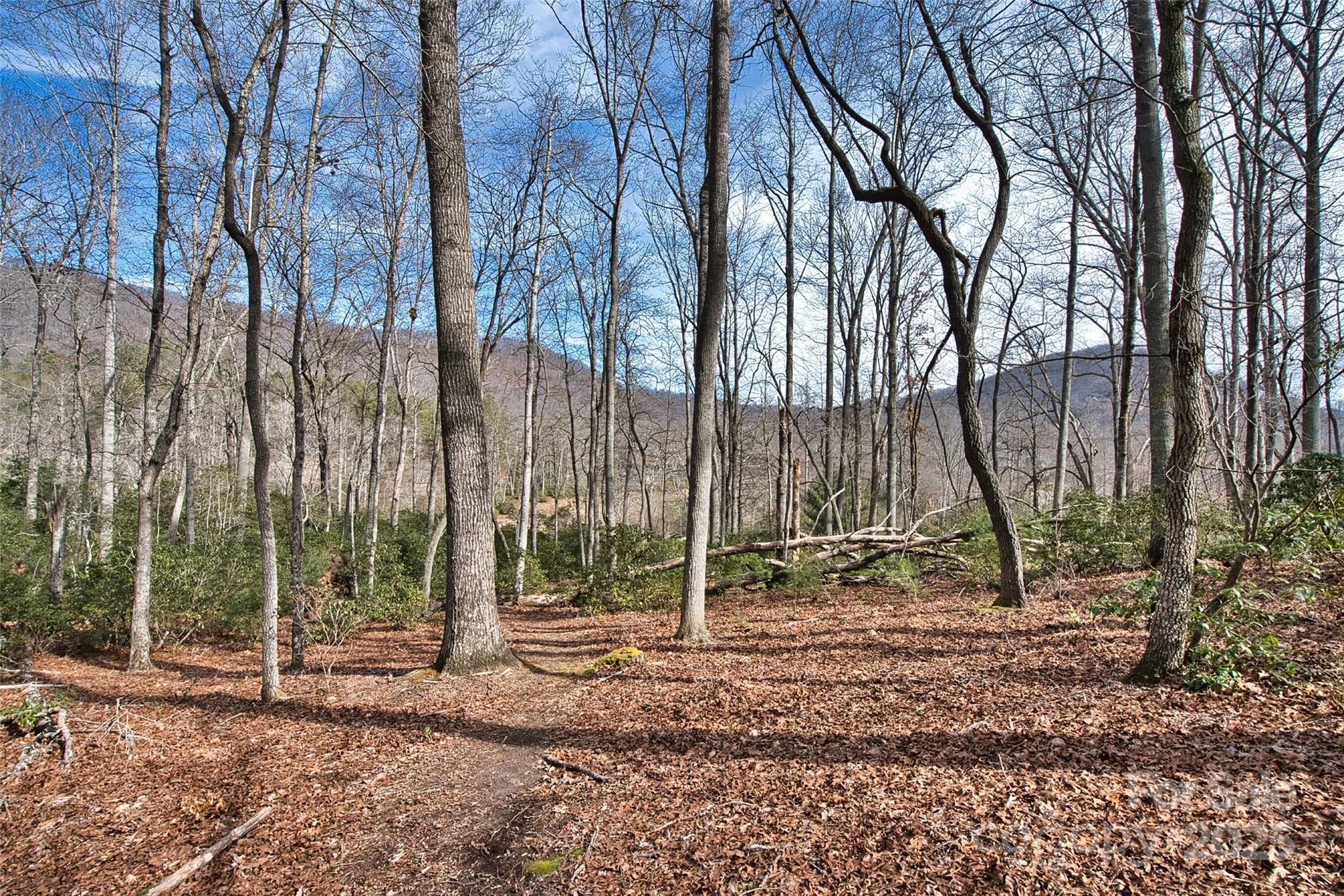 The Cliffs at Walnut Cove - Land
