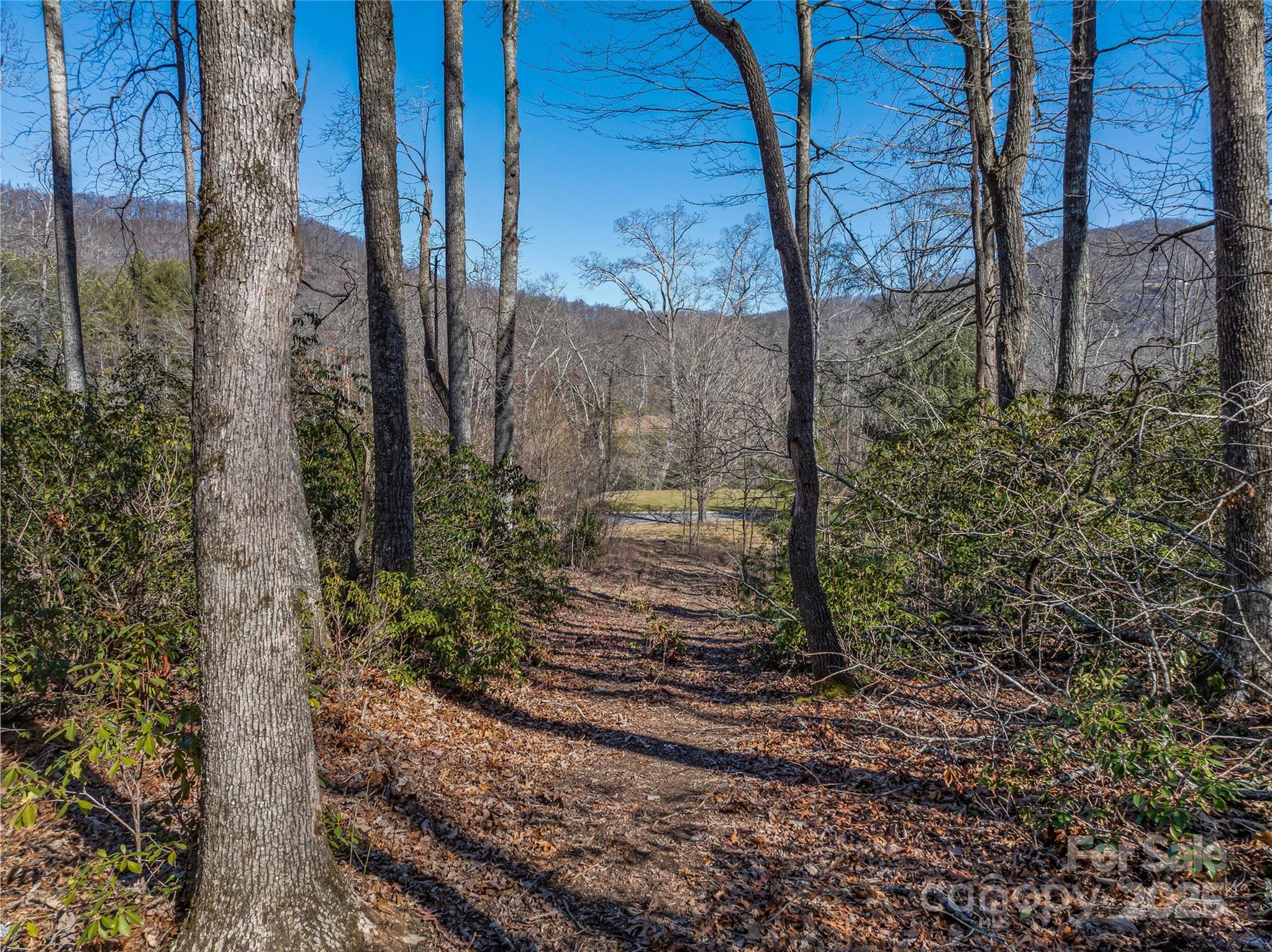 The Cliffs at Walnut Cove - Land