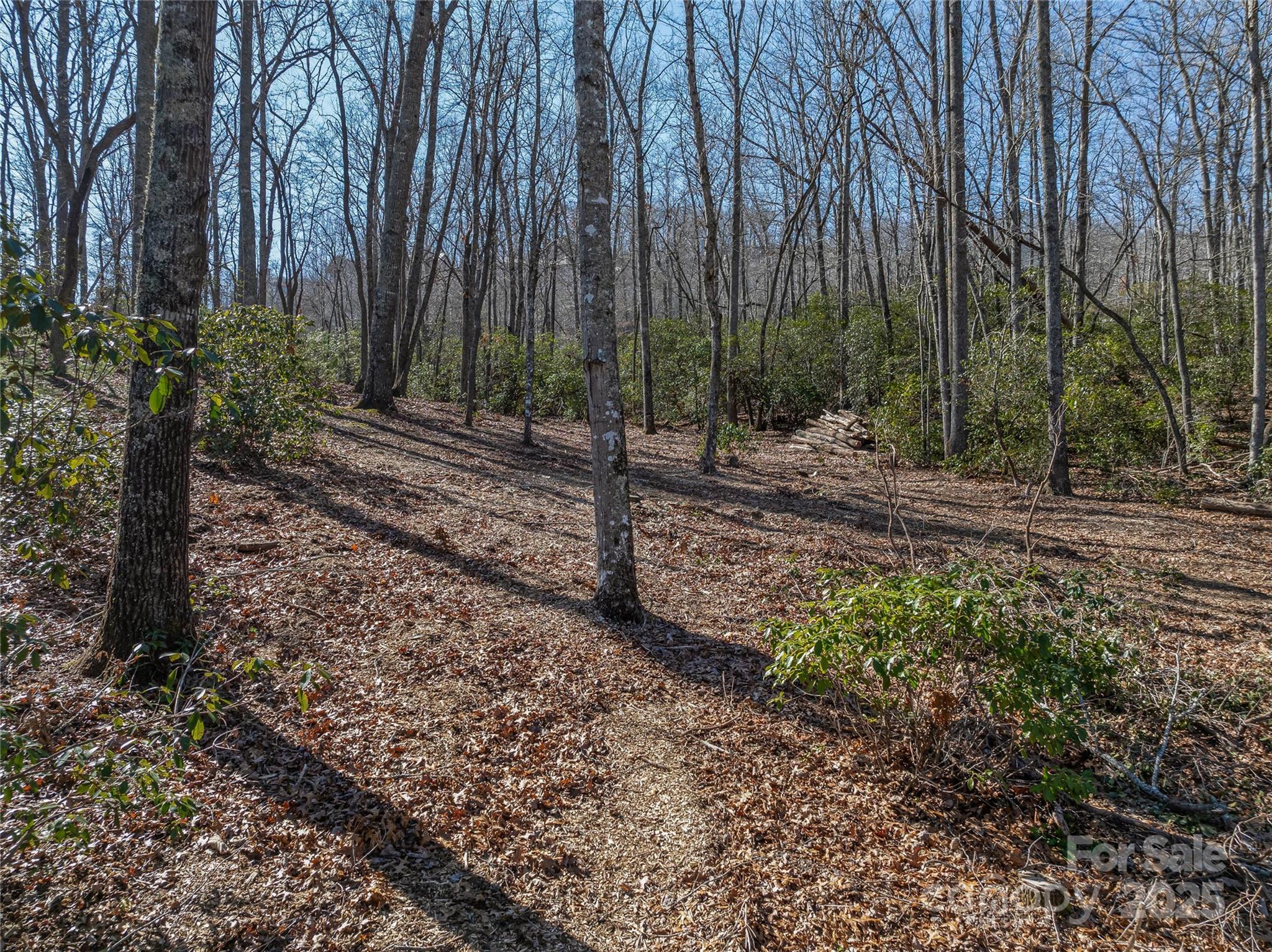 The Cliffs at Walnut Cove - Land