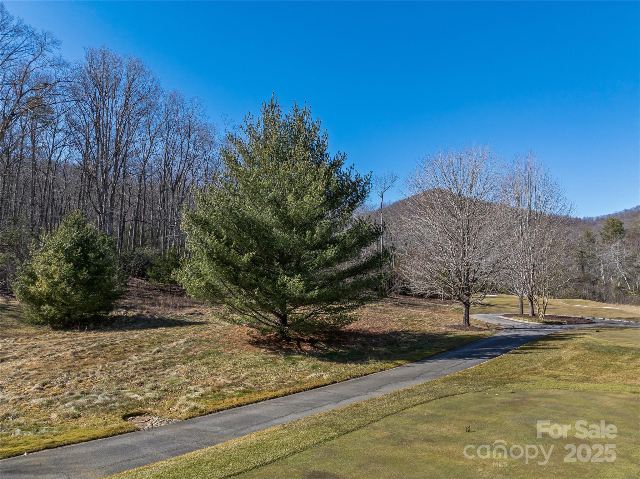 The Cliffs at Walnut Cove - Land