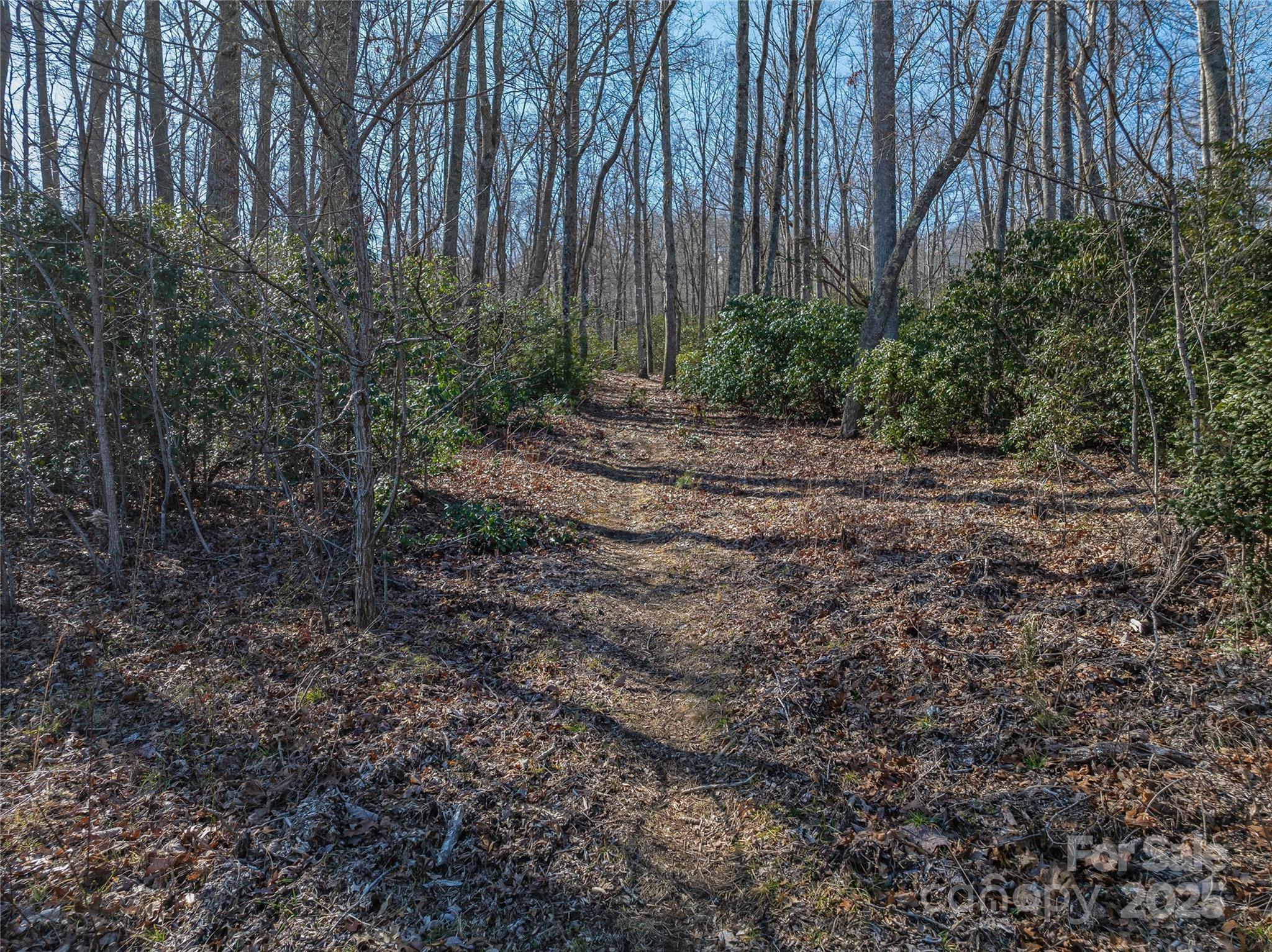 The Cliffs at Walnut Cove - Land