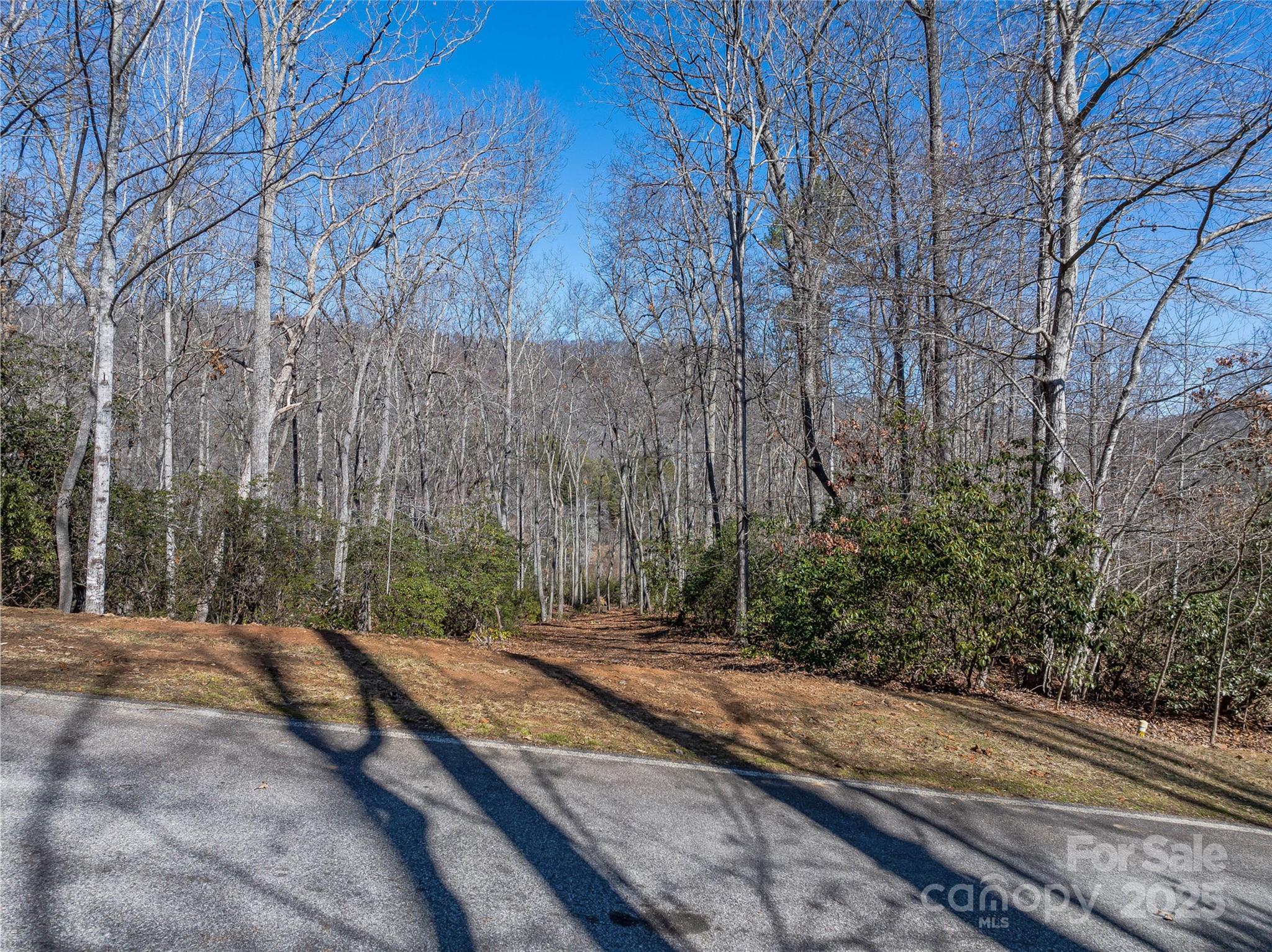 The Cliffs at Walnut Cove - Land