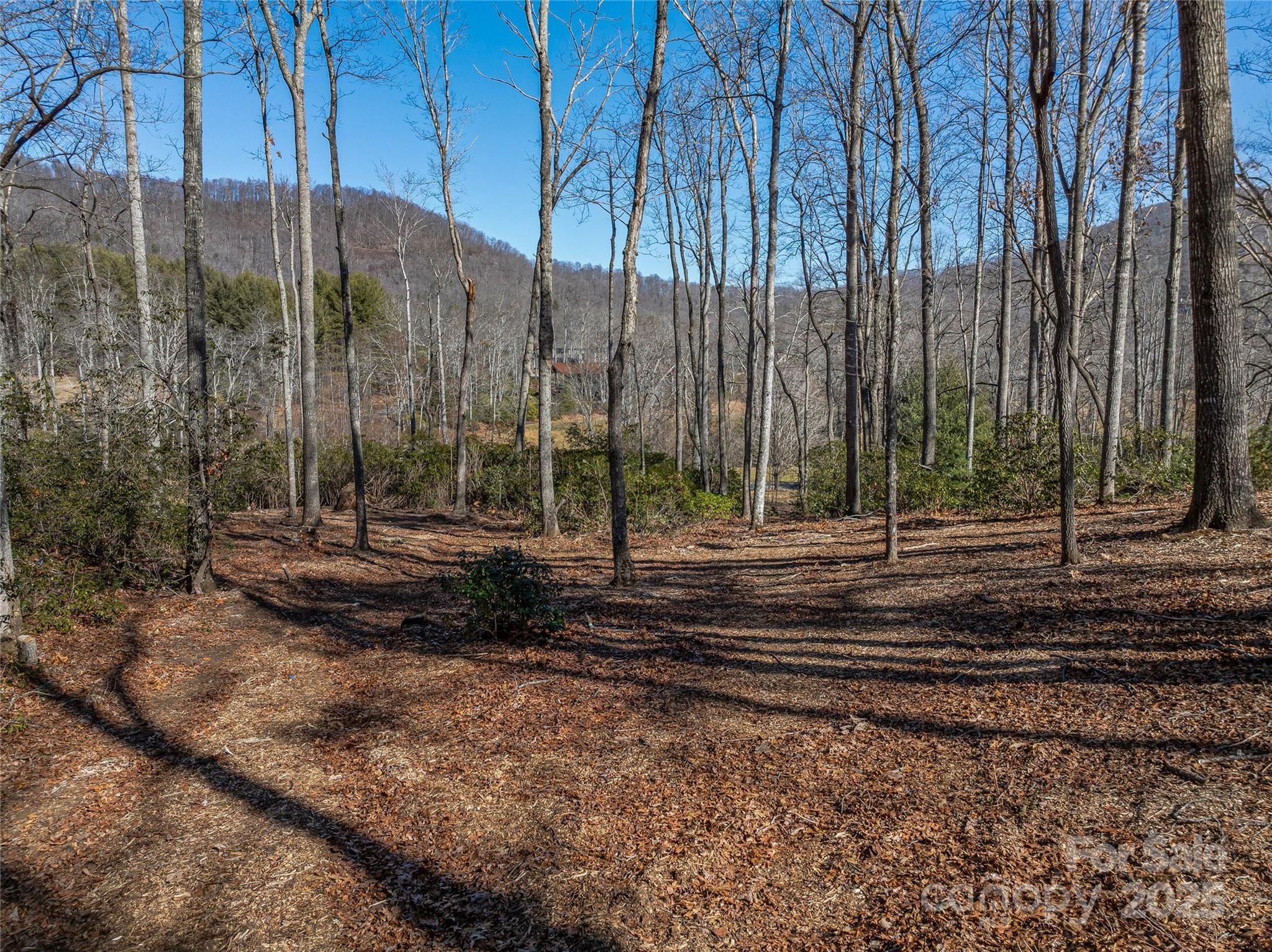 The Cliffs at Walnut Cove - Land