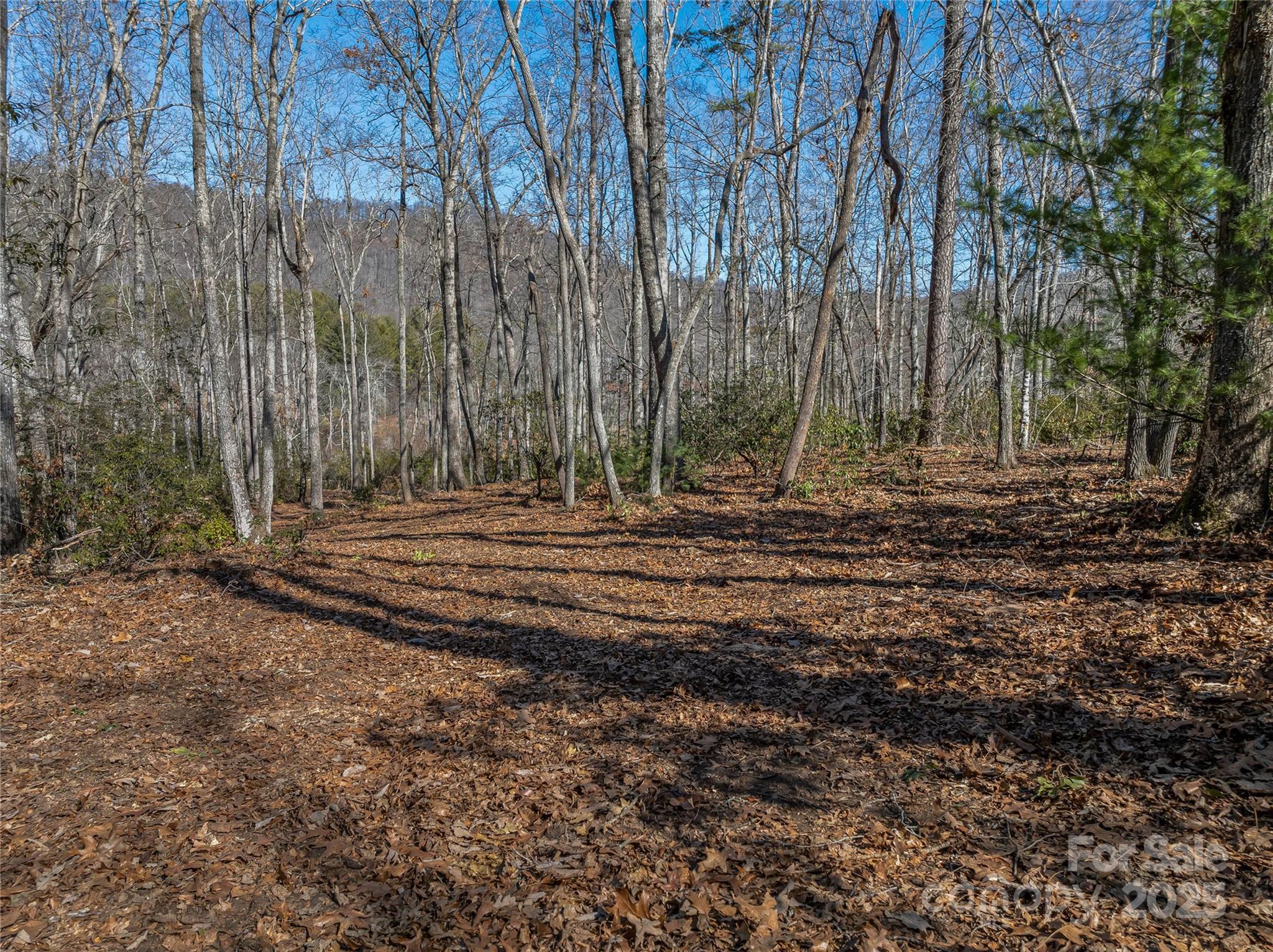 The Cliffs at Walnut Cove - Land