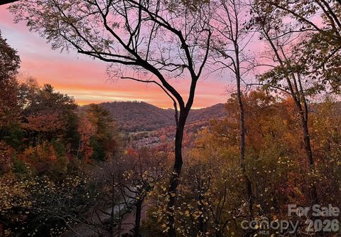 Photo of 3302 Timber Trail, Asheville, NC 28804 (MLS # 4333678)