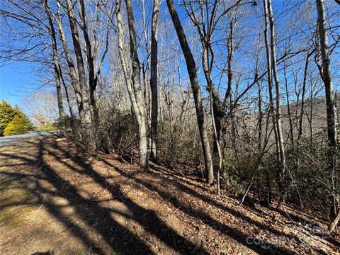 Lot 19 Udoque Court Brevard NC 28712