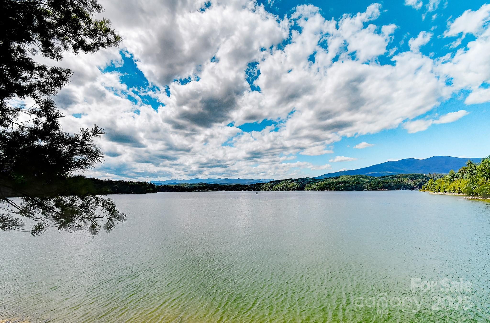 The Peninsula at Lake James - Land