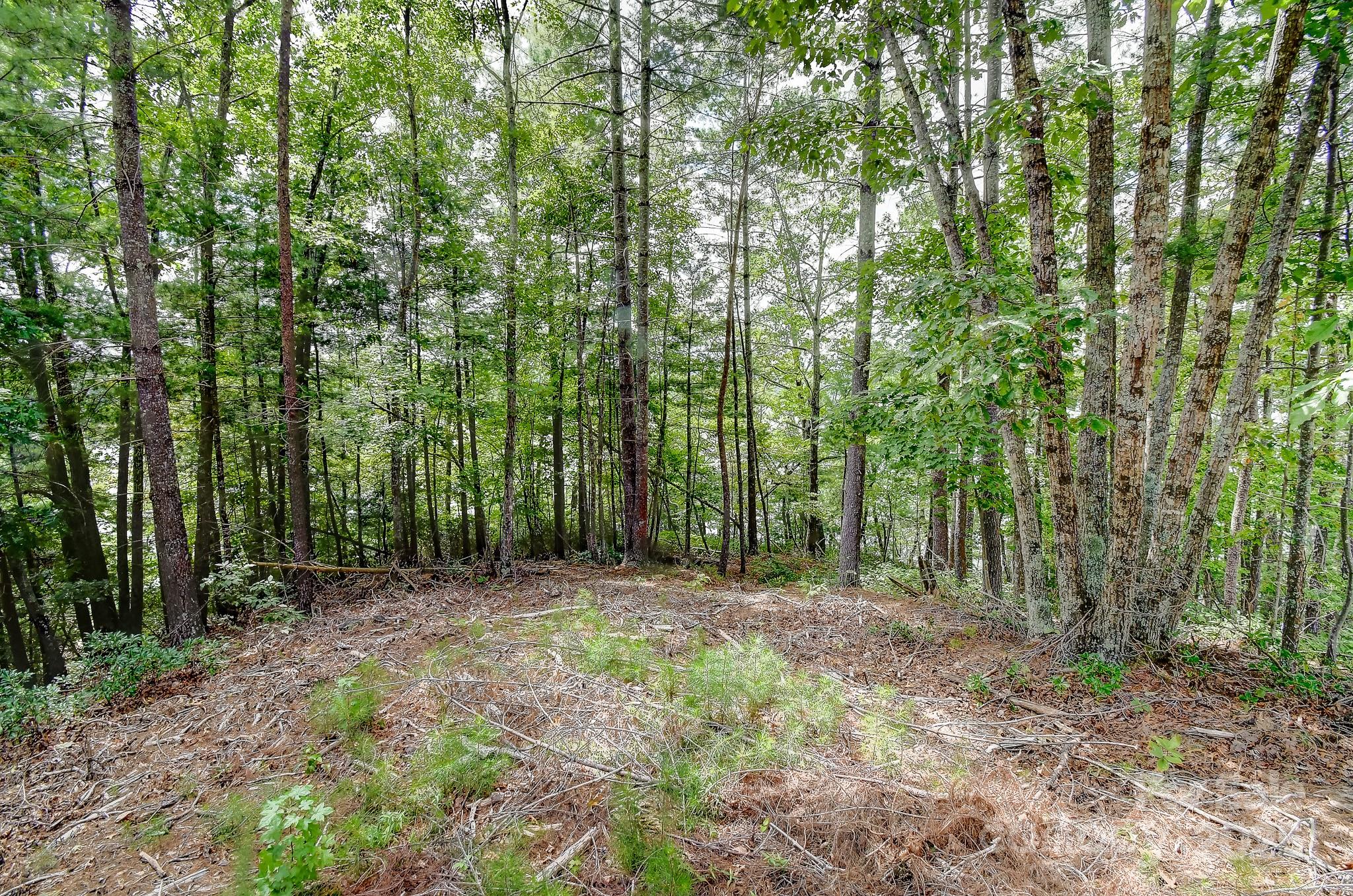 The Peninsula at Lake James - Land