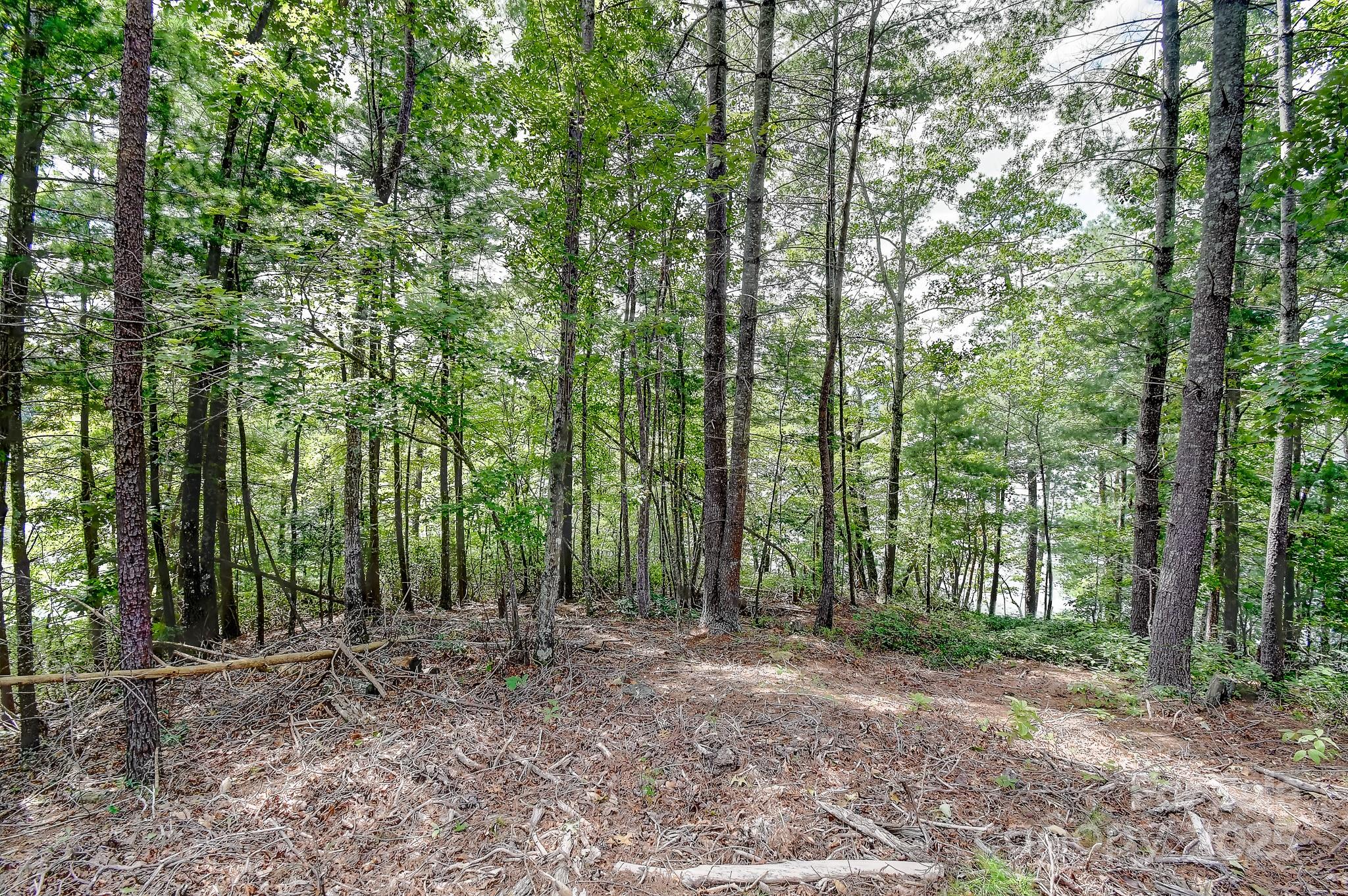 The Peninsula at Lake James - Land