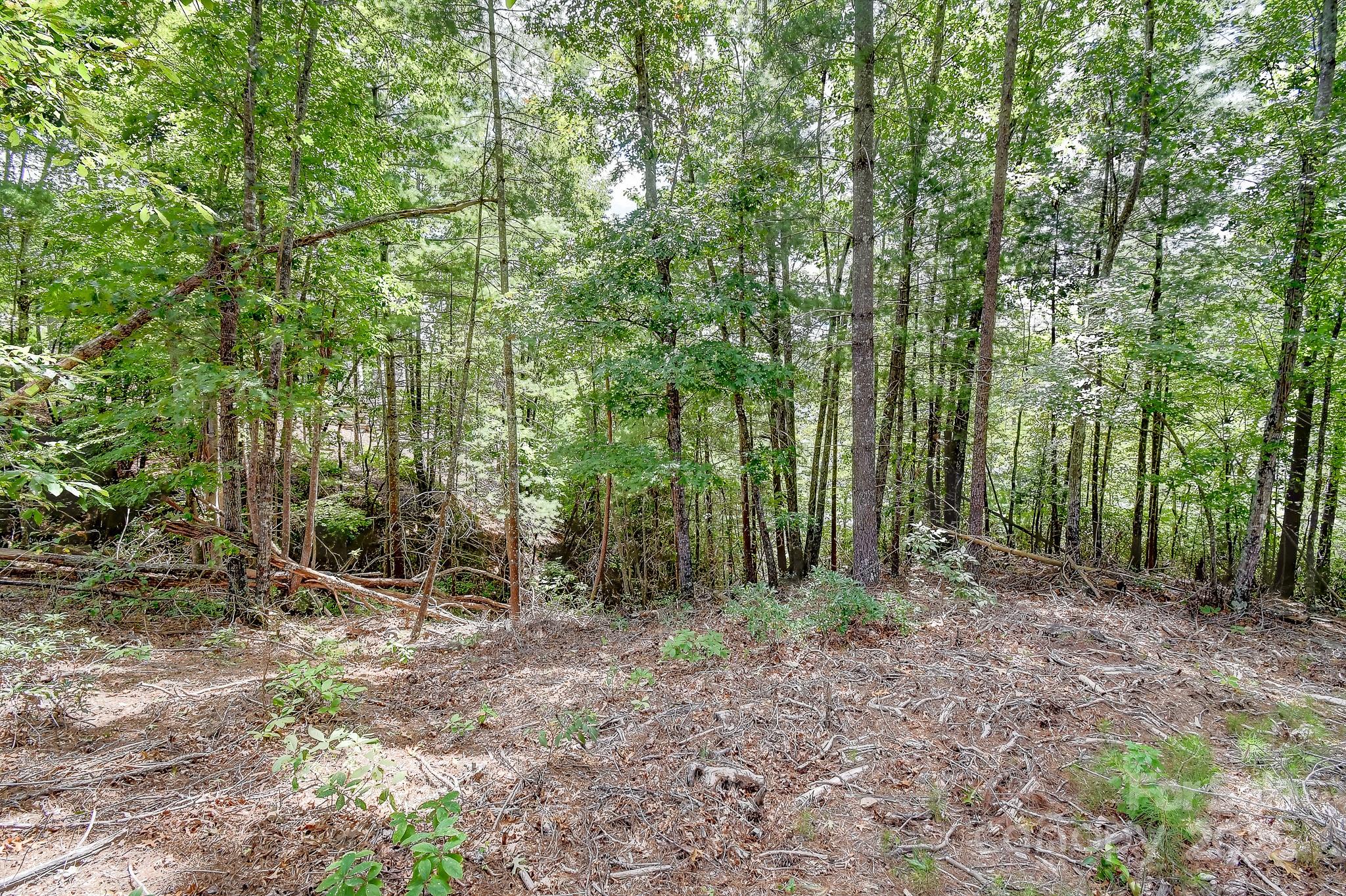 The Peninsula at Lake James - Land