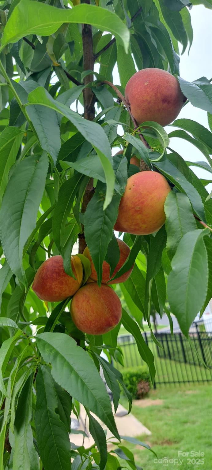 Lakebridge - Residential