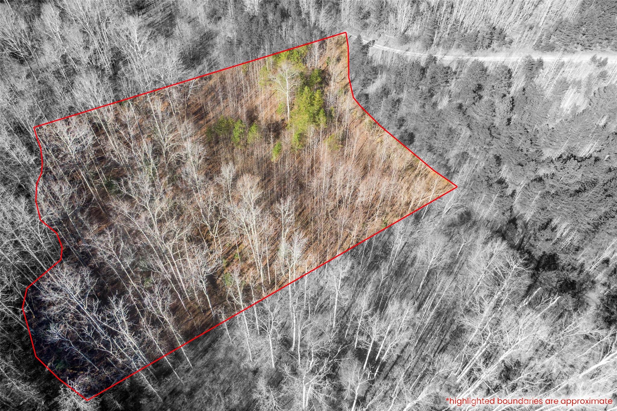 Cherry Mountain Trail - Land