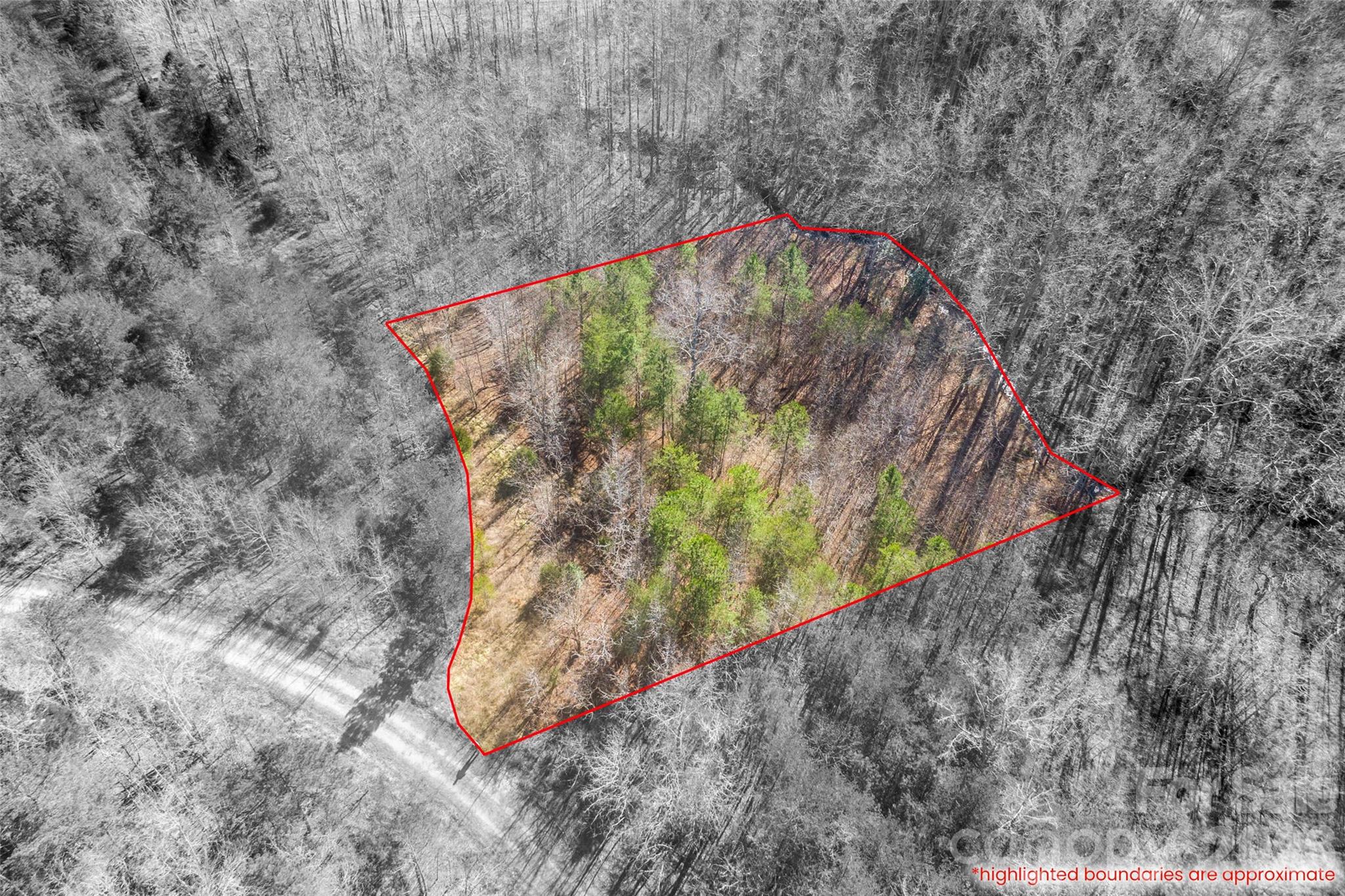 Cherry Mountain Trail - Land