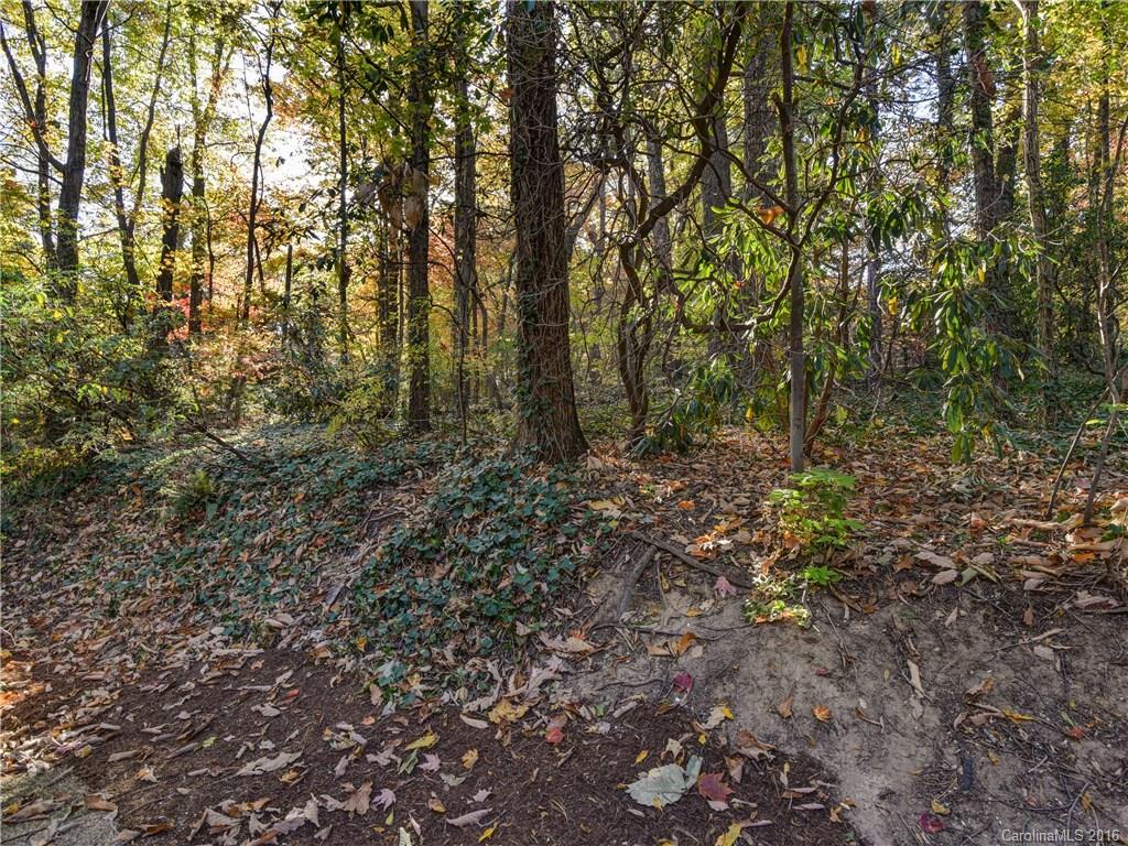 Echo Mountain - Residential