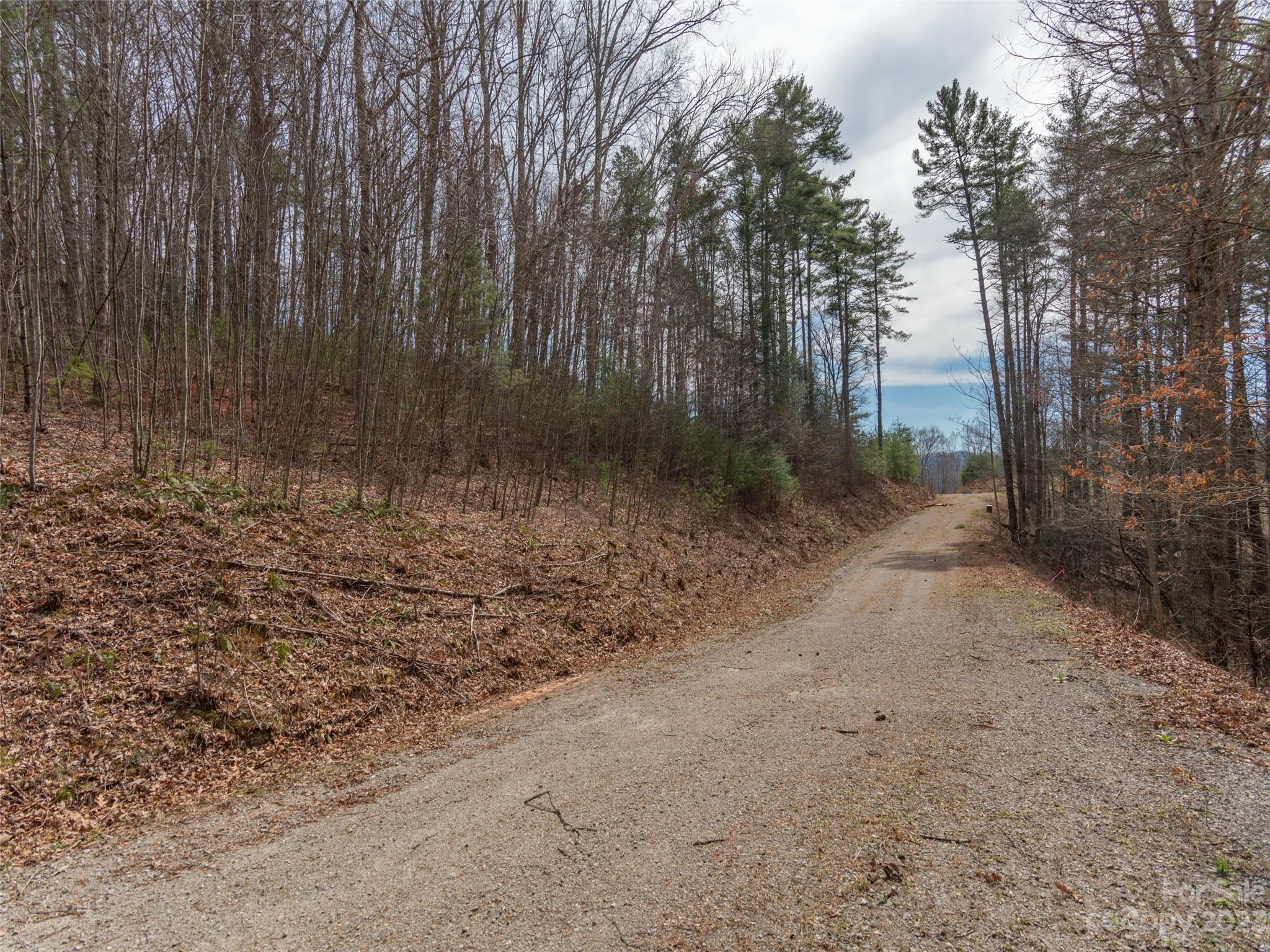 Lot 7 Wildlife Drive