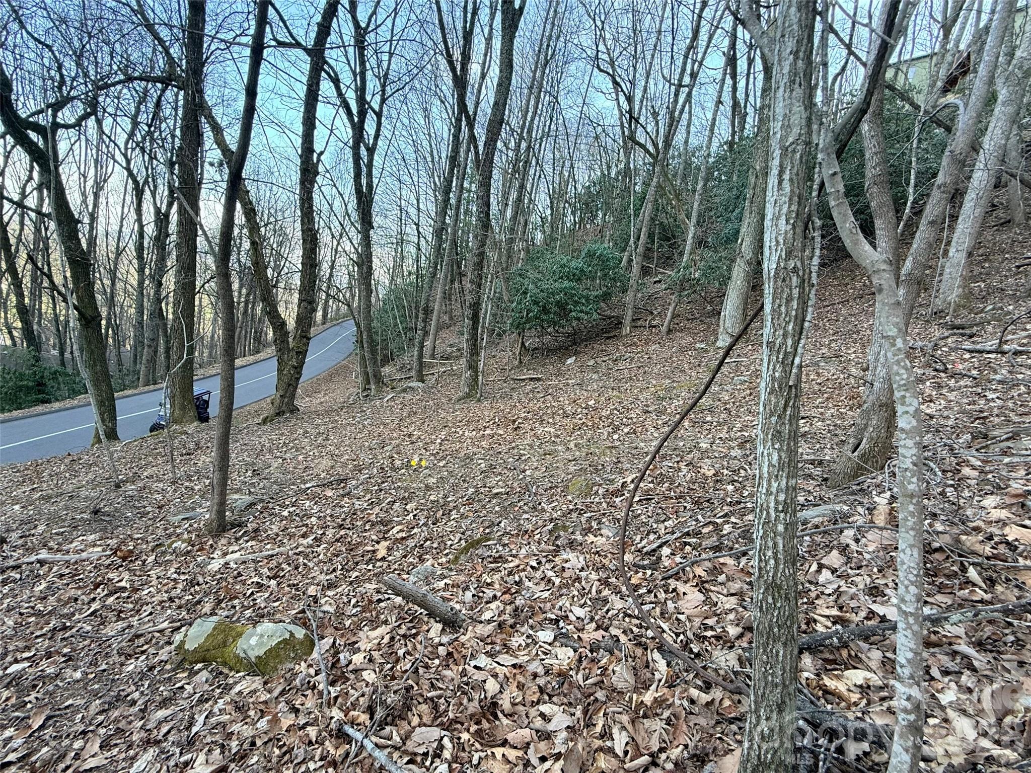 Lot #117 Honey Locust Drive Lot #117