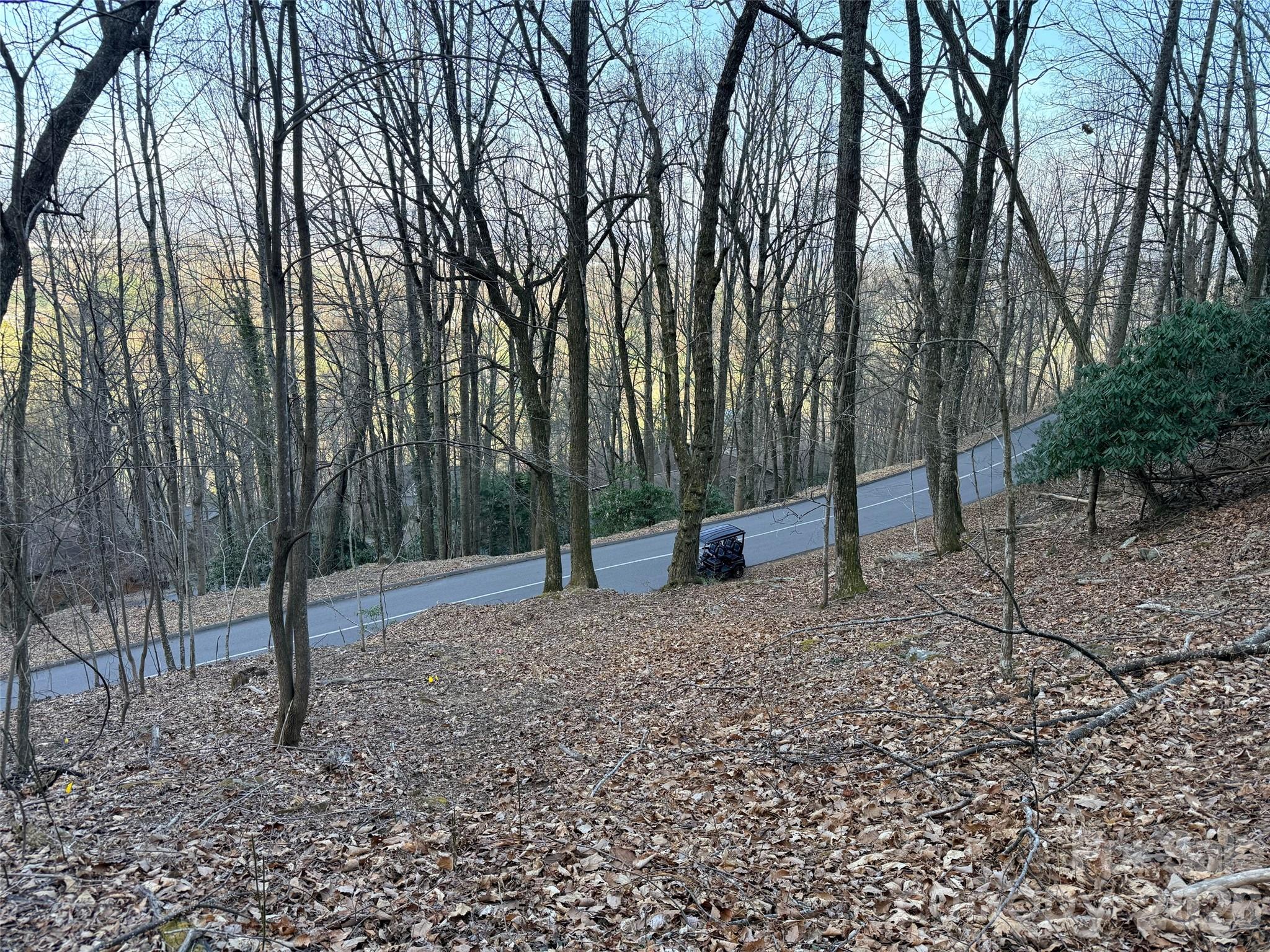 Lot #117 Honey Locust Drive Lot #117