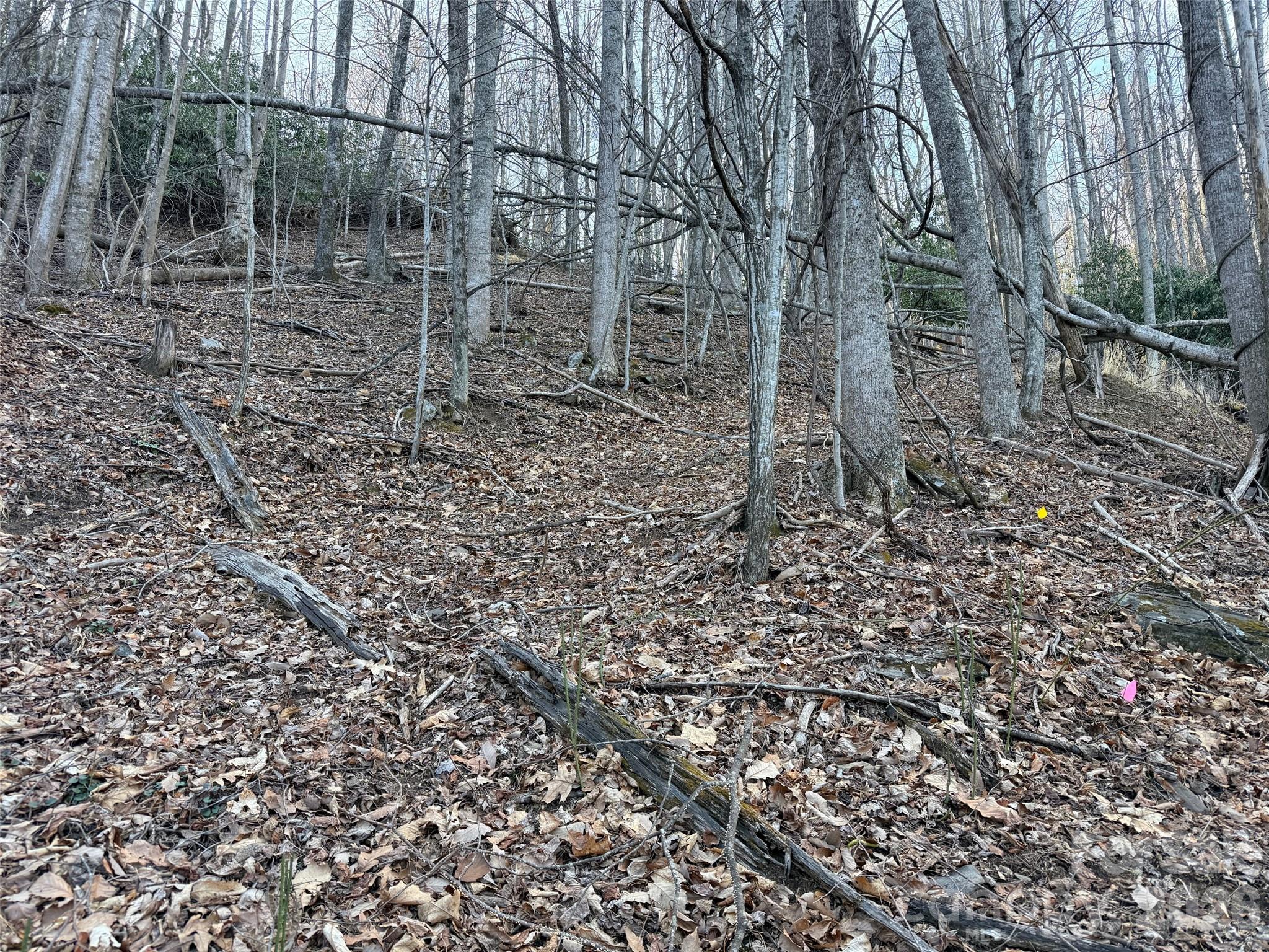 Lot #117 Honey Locust Drive Lot #117