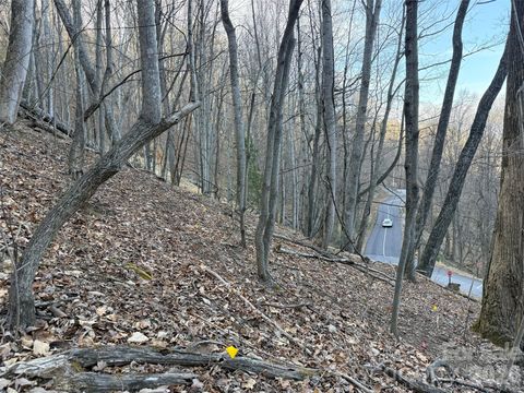 Lot #117 Honey Locust Drive Lot #117 Mills River NC 28759