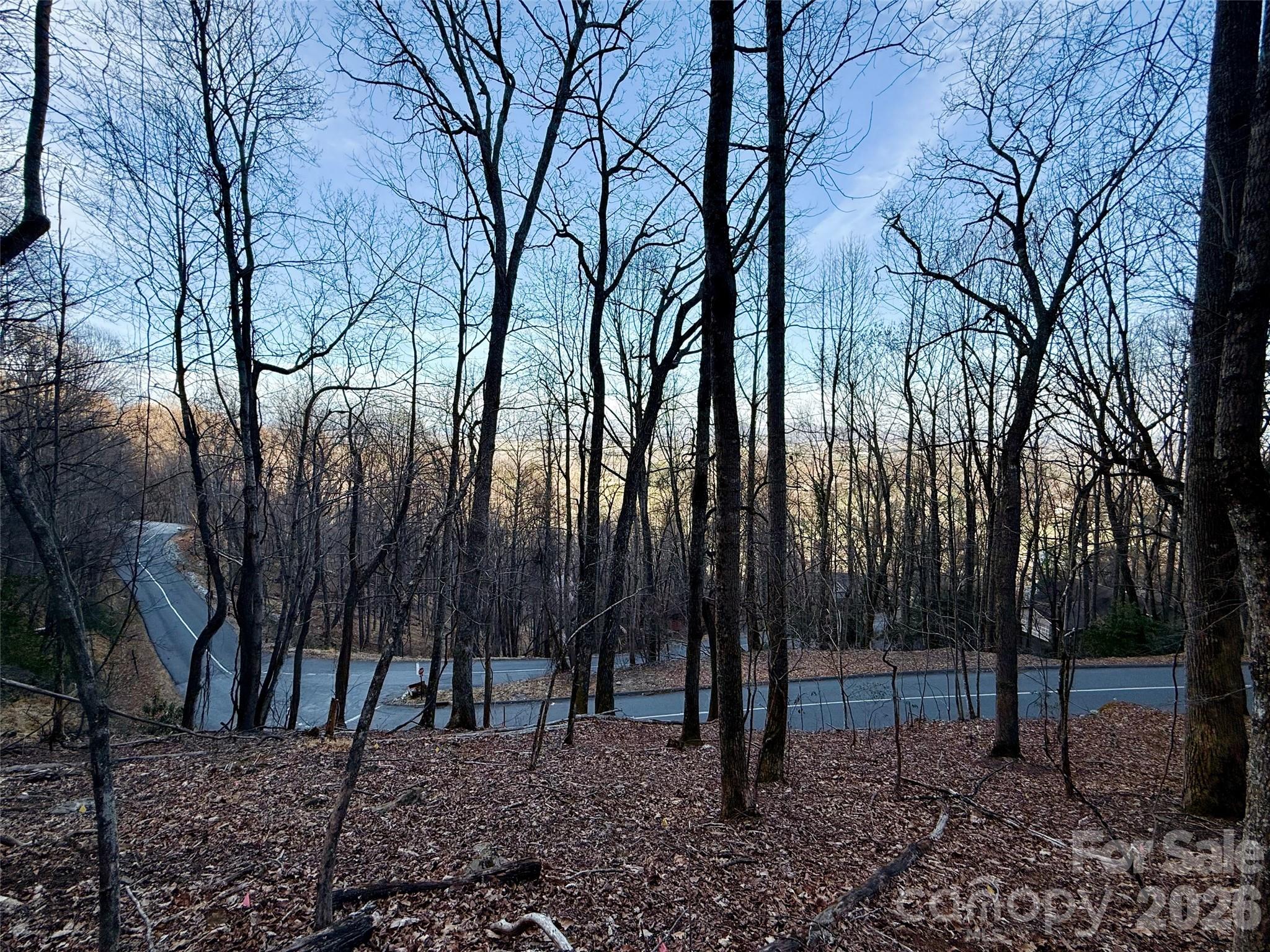 Lot #117 Honey Locust Drive Lot #117