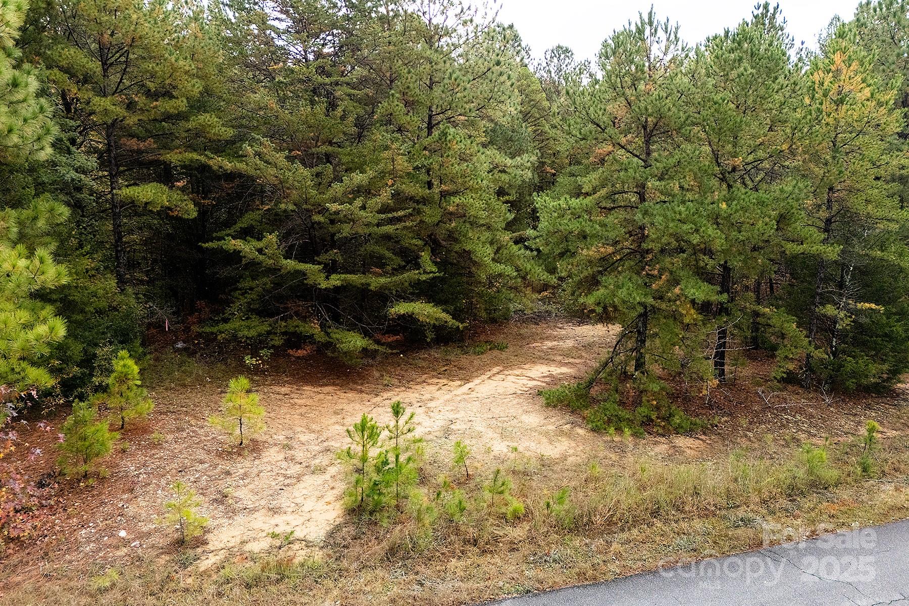 0 Rhoderia Drive 17 & 18