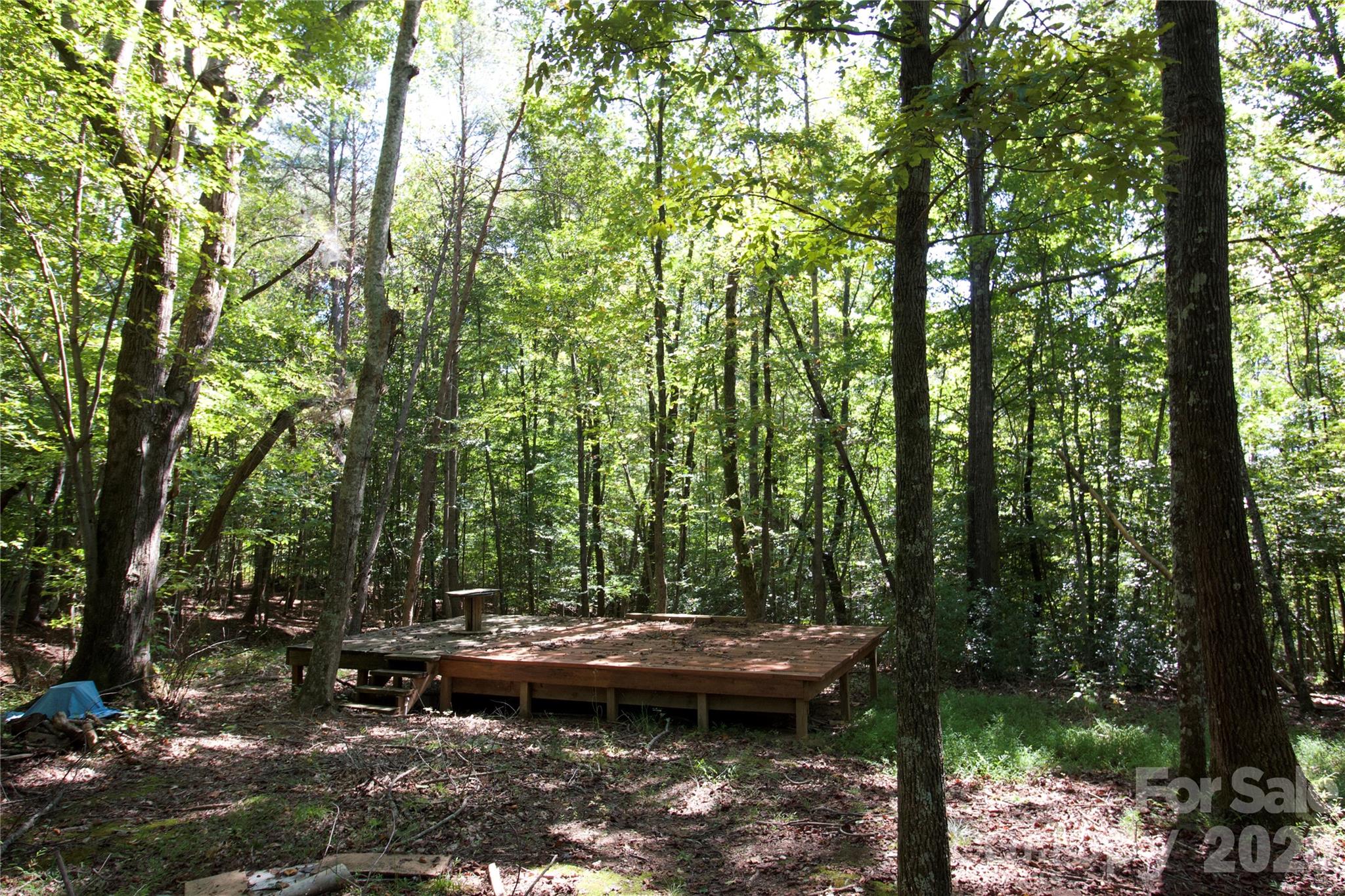 TBD Cove Gap Road