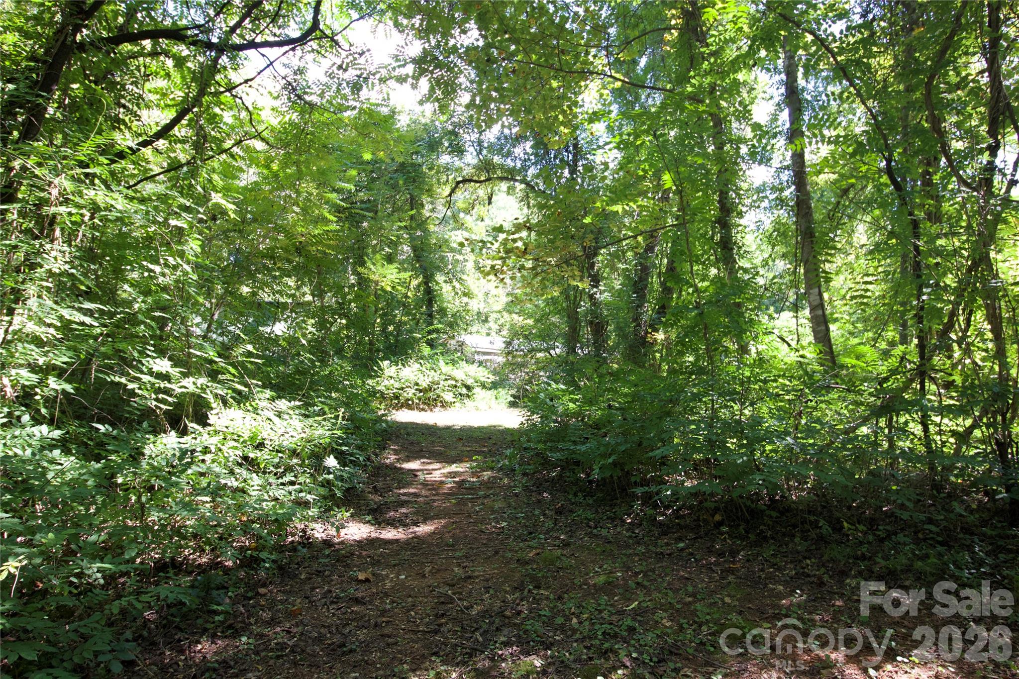 TBD Cove Gap Road