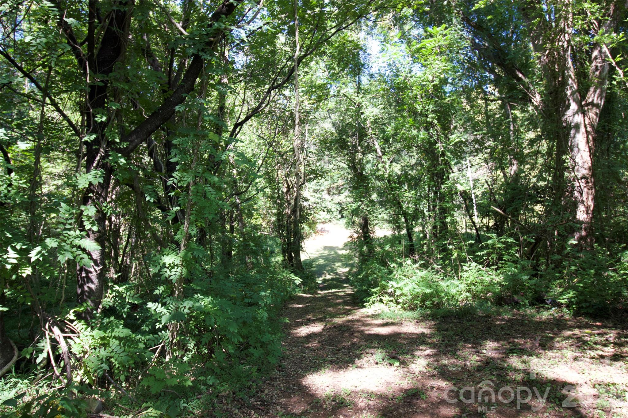 TBD Cove Gap Road
