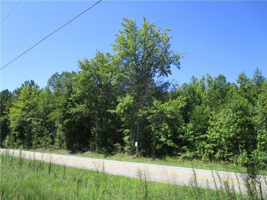 4 beautiful acres, 3 bedroom perc permit on file. Mostly flat mostly wooded would make a great place for large homesite, small farm, & room to spread out. Faith Elementary, Southeast Middle, & Carson High School.
