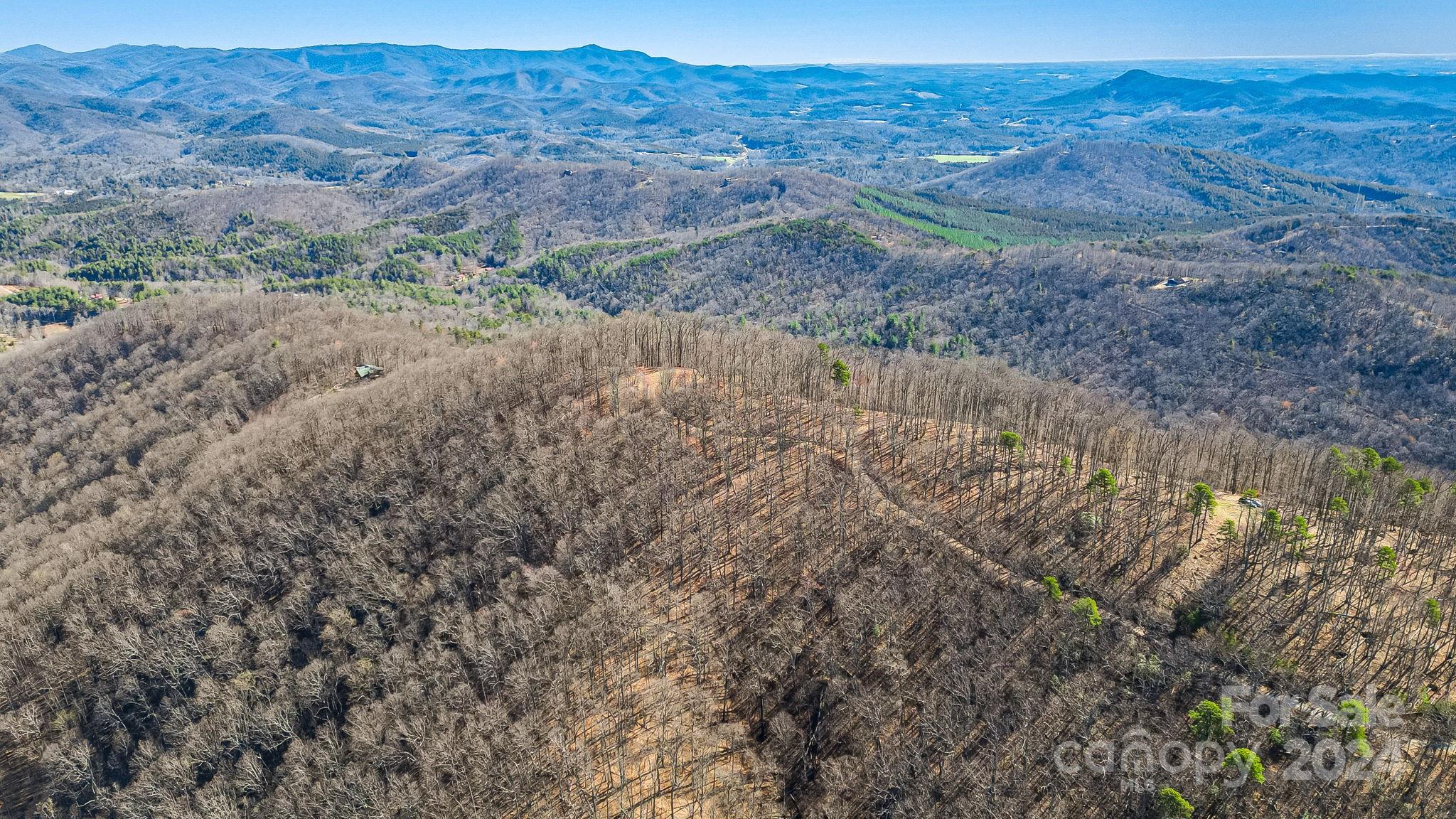 Cane Creek Mountain - Land