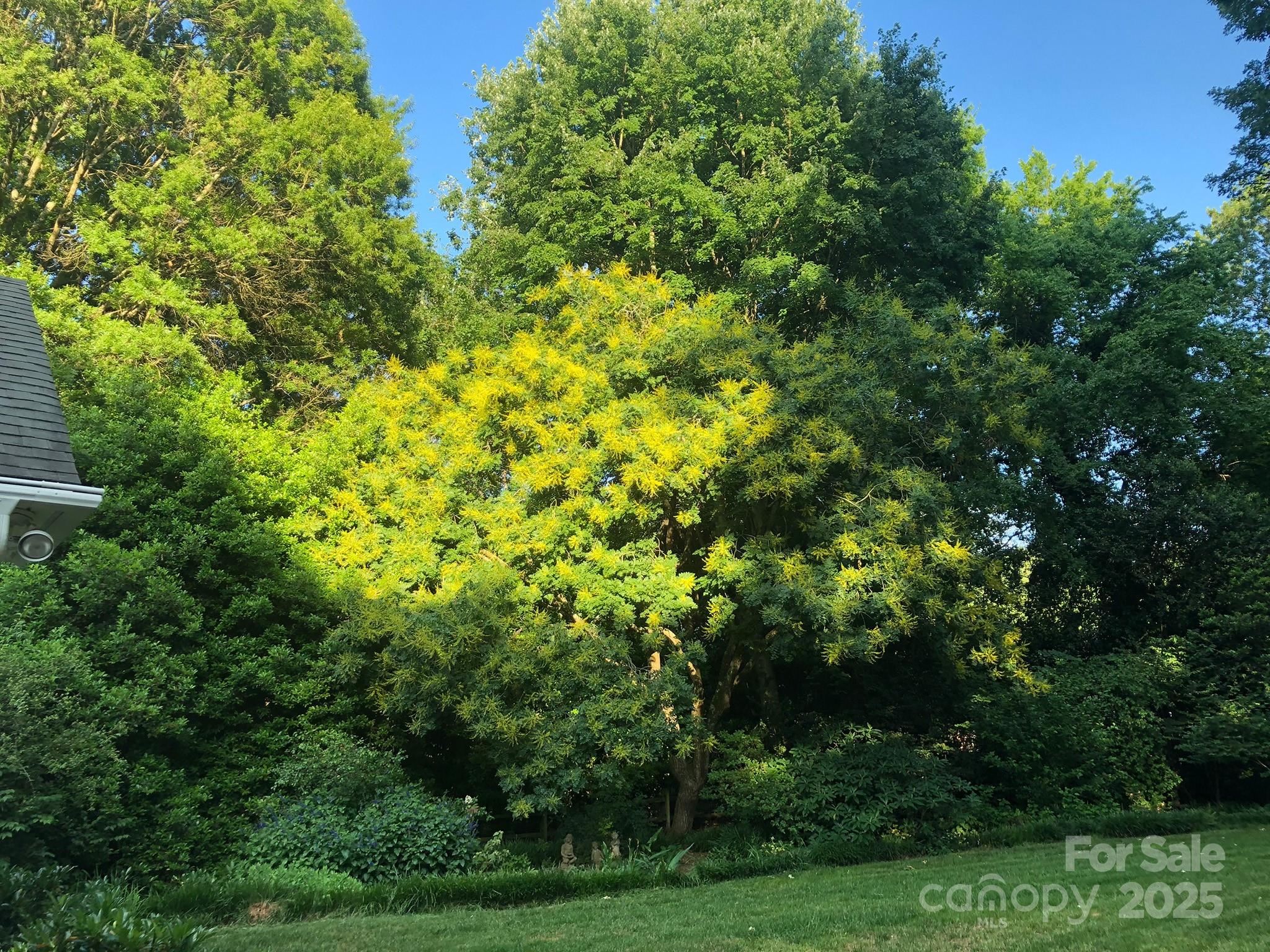 Barclay Downs - Residential