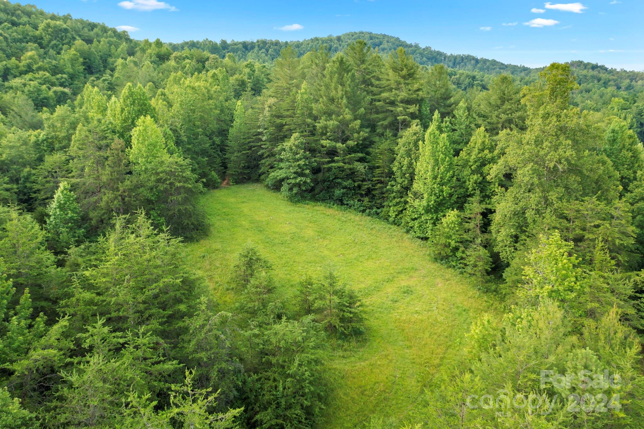 TBD Zacks Fork Road